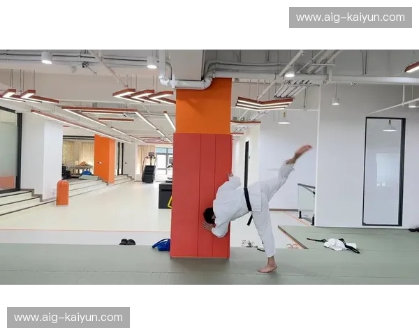 柔道数据资讯:把握每一个投技背后的秘密